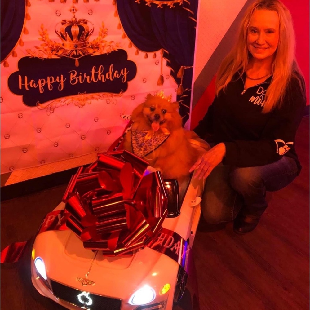 Meet your Posher, Rocco - Picture 5 of 12